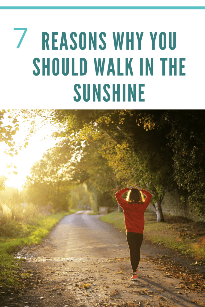 walk in the sun